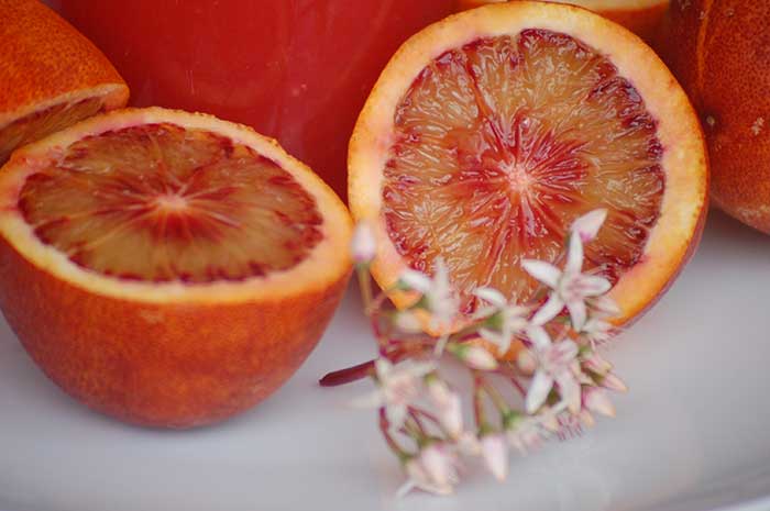 BLODAPPELSIN 15KG 5 comprar naranjas sanguinas